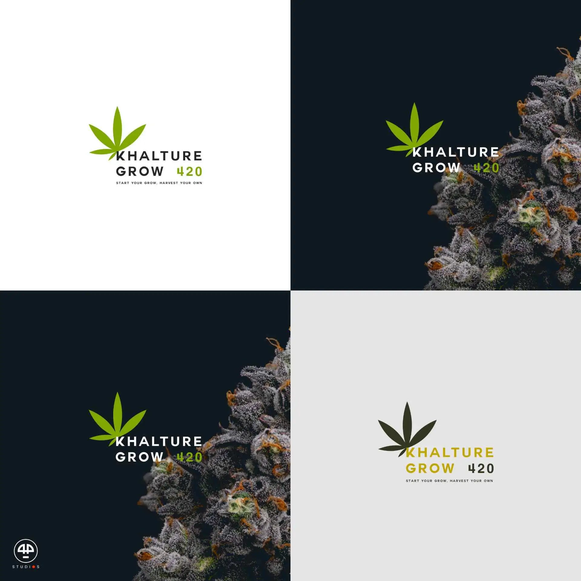 KG 420 Brand Identity